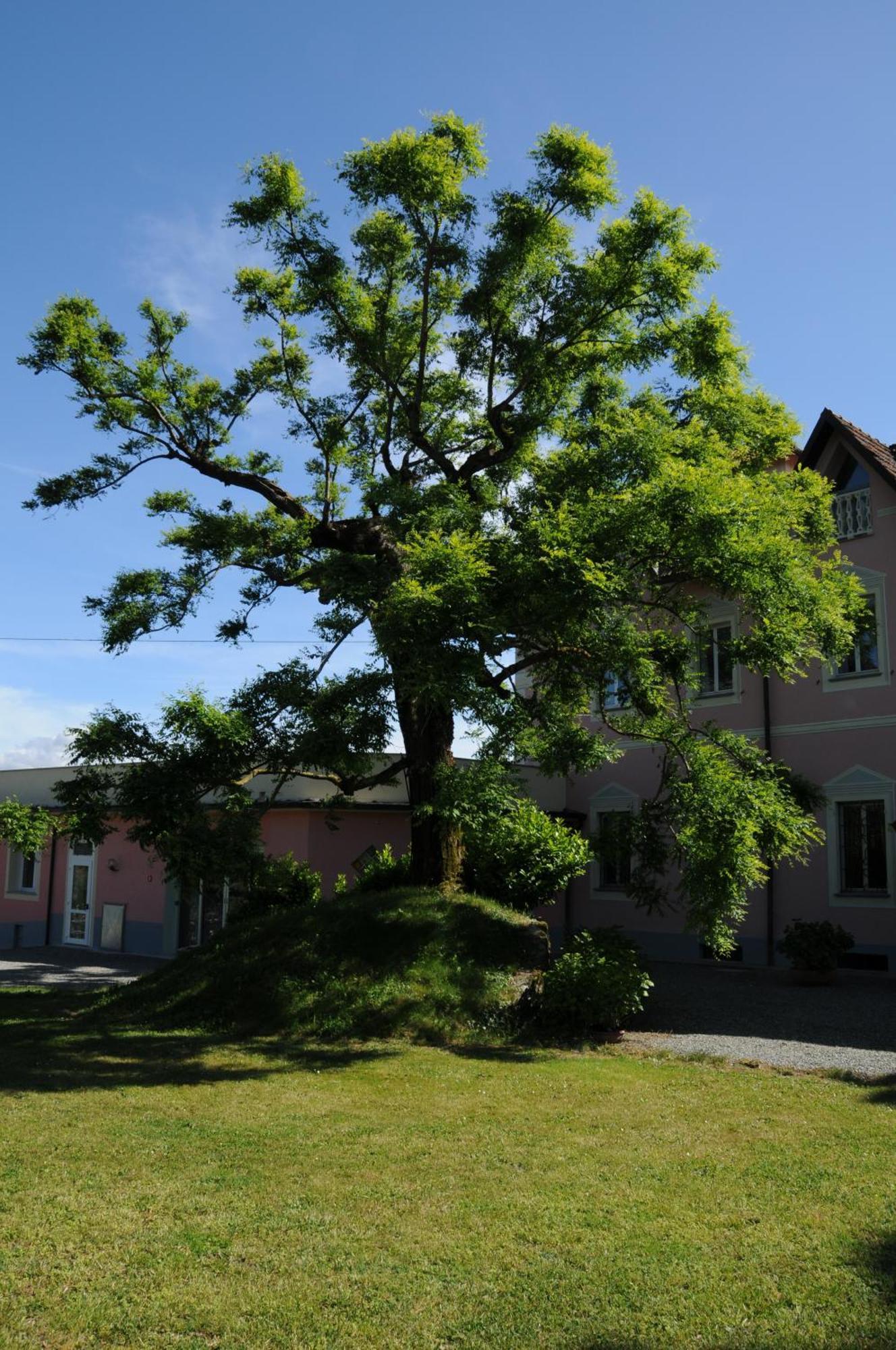 Villa Ester Tagliolo Monferrato 외부 사진